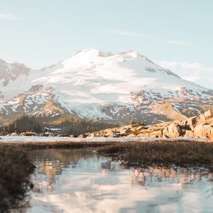 Meet your Posher, Delfina